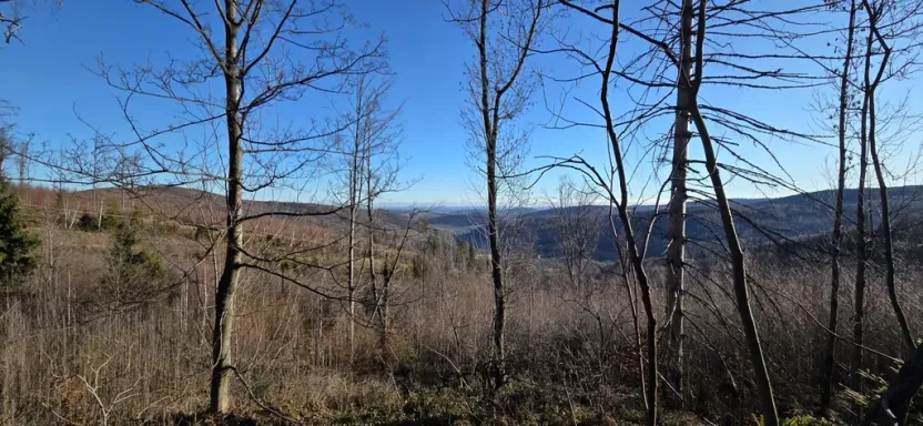 Prodej komerčního pozemku, Petrovice, 151 m2