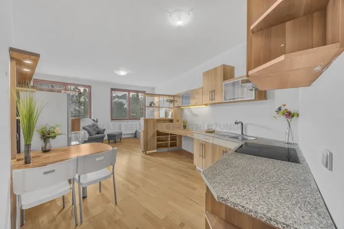 Prodej bytu 1+kk, Praha - Podolí, Dvorecká, 34 m2