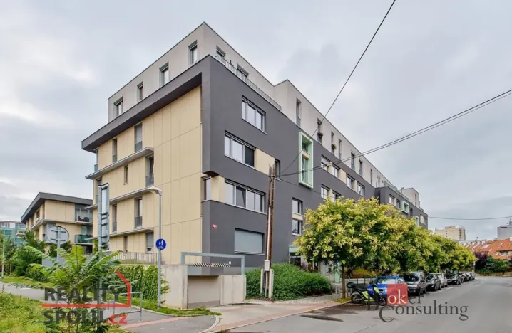 Pronájem bytu 1+kk, Praha - Žižkov, Olgy Havlové, 29 m2