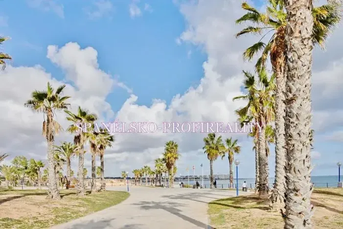 Prodej vily, Orihuela, Španělsko, 80 m2