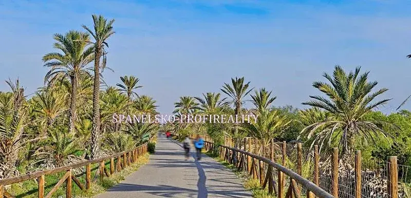 Prodej bytu 2+kk, Guardamar del Segura, Španělsko, 50 m2