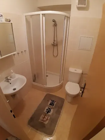 Prodej bytu 2+kk, Harrachov, 48 m2