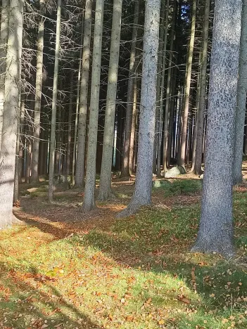 Prodej rodinného domu, Pecka, 210 m2