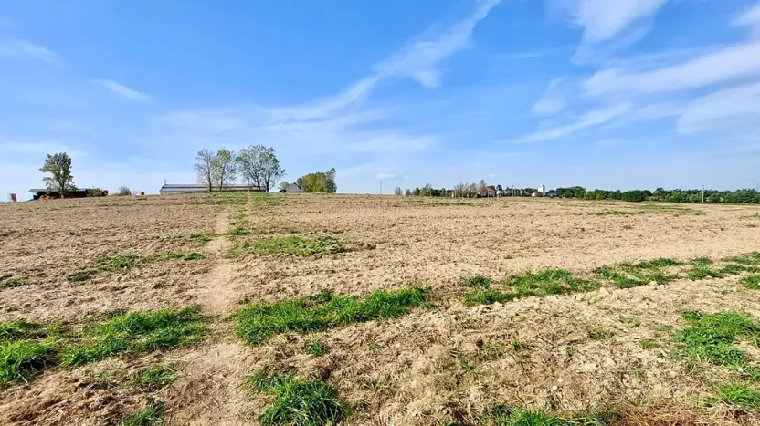 Prodej pozemku pro bydlení, Hrušovany u Brna, Pod Střediskem, 908 m2
