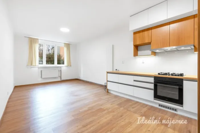 Pronájem bytu 2+kk, Praha - Nusle, Na Jezerce, 52 m2