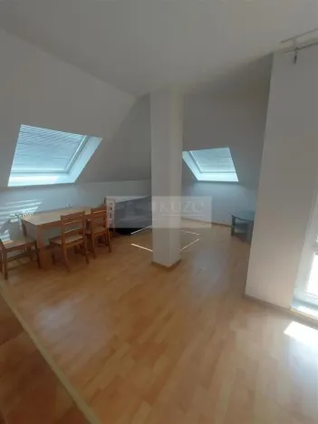 Pronájem bytu 4+kk, Praha, U zeleného ptáka, 113 m2