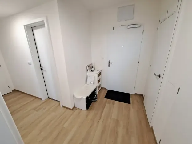 Pronájem bytu 3+kk, Brno, Placzkova, 71 m2