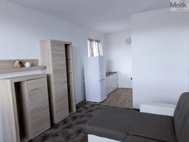 Pronájem bytu 2+kk, Bílina - Teplické Předměstí, Čapkova, 41 m2
