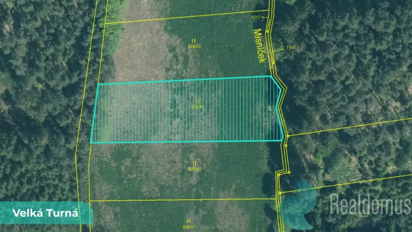Prodej louky, Velká Turná, 2199 m2