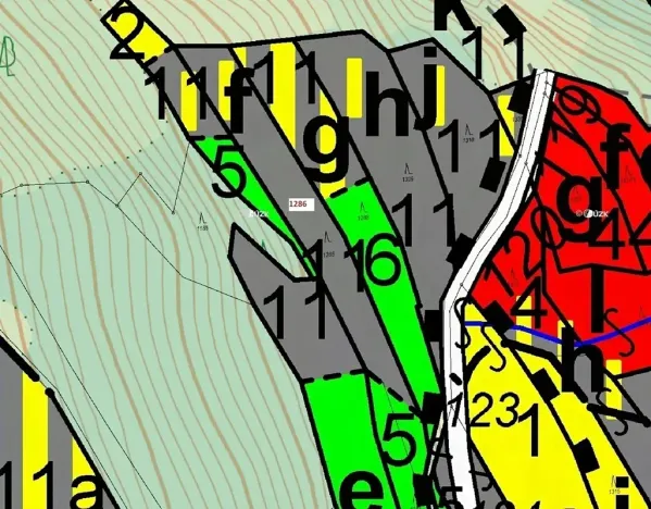 Dražba lesa, Lačnov, 2442 m2