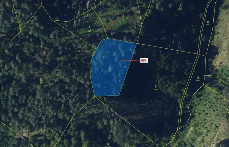 Dražba lesa, Žďárec, 2813 m2