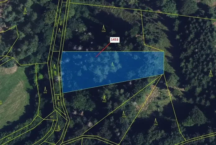 Dražba lesa, Vranová Lhota, 3122 m2