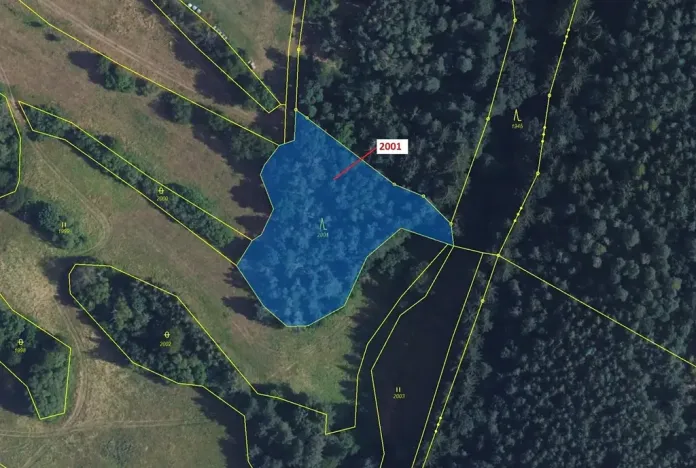 Dražba lesa, Žďárec, 2873 m2