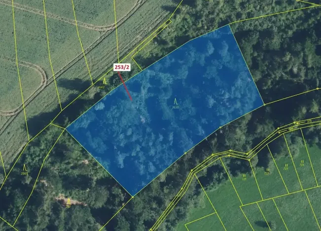 Dražba lesa, Nové Hrady, 7263 m2