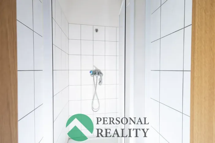 Prodej obchodního prostoru, Králův Dvůr - Levín, 411 m2