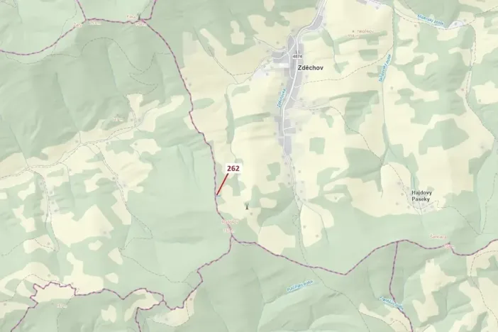 Dražba lesa, Zděchov, 273 m2