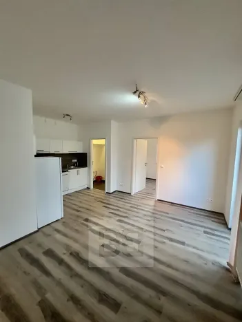 Pronájem bytu 2+kk, Kladno, Generála Selnera, 41 m2