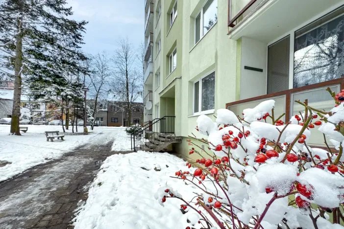 Pronájem bytu 1+1, Chomutov, Kostnická, 36 m2