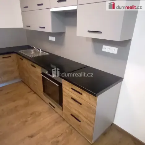 Pronájem bytu 2+kk, Ústí nad Labem - Ústí nad Labem-centrum, Elišky Krásnohorské, 65 m2