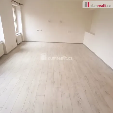 Pronájem bytu 2+kk, Ústí nad Labem - Ústí nad Labem-centrum, Elišky Krásnohorské, 65 m2