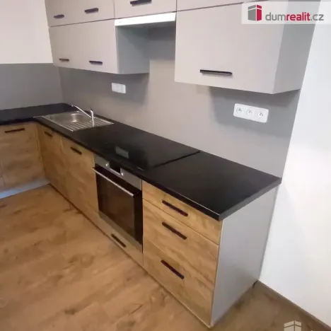 Pronájem bytu 2+kk, Ústí nad Labem - Ústí nad Labem-centrum, Elišky Krásnohorské, 65 m2