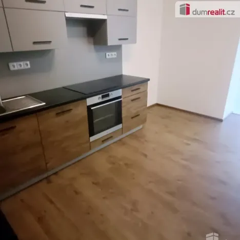 Pronájem bytu 2+kk, Ústí nad Labem - Ústí nad Labem-centrum, Elišky Krásnohorské, 65 m2