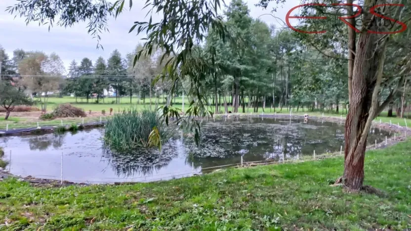 Prodej pozemku pro bydlení, Běleč, 945 m2