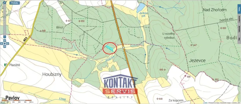 Prodej lesa, Dlouhá Brtnice, 5000 m2