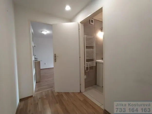 Pronájem bytu 1+kk, Krnov - Pod Bezručovým vrchem, Albrechtická, 36 m2