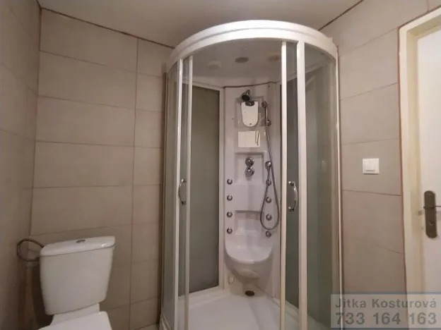 Pronájem bytu 1+kk, Krnov - Pod Bezručovým vrchem, Albrechtická, 36 m2