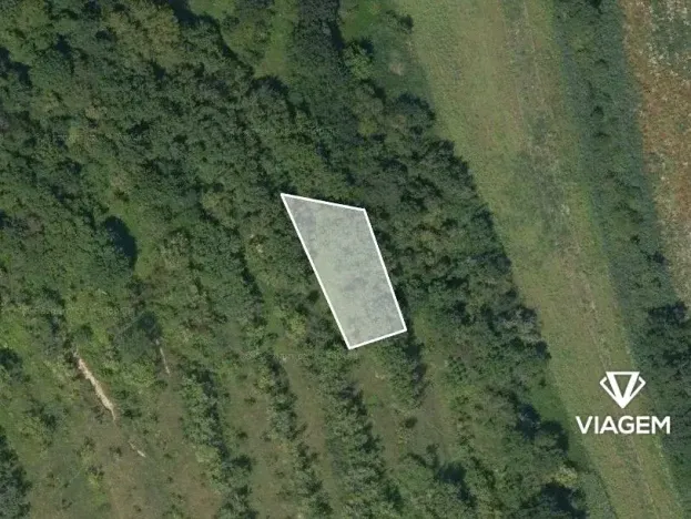 Prodej pole, Lovčice, 705 m2