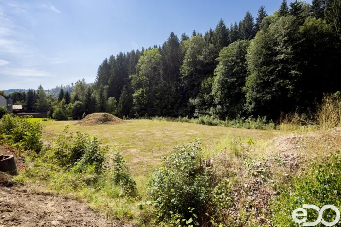 Prodej komerčního pozemku, Rokytnice nad Jizerou, 6795 m2