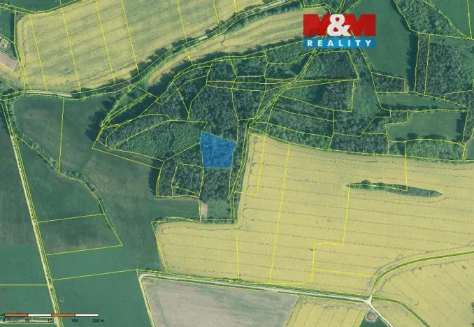 Prodej lesa, Třešovice, 4545 m2