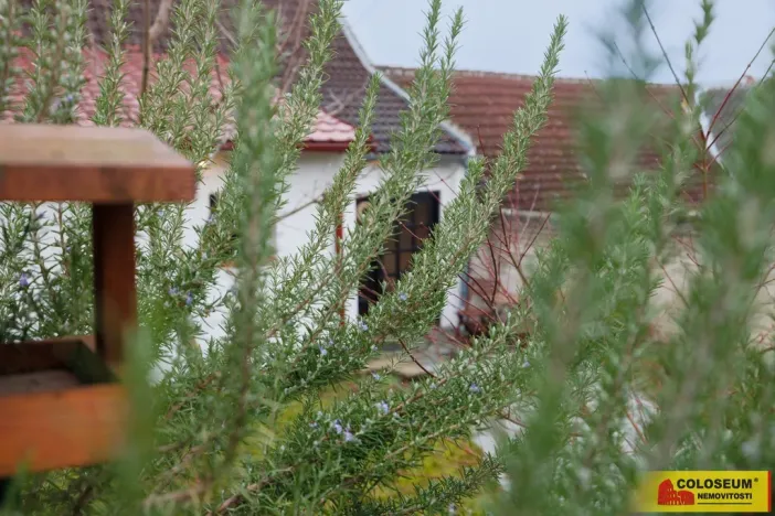 Prodej chalupy, Tvarožná Lhota, 85 m2