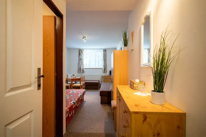 Prodej ubytování, Strážné, 450 m2