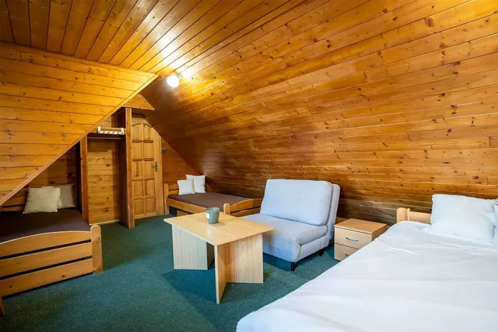 Prodej rodinného domu, Strážné, 450 m2