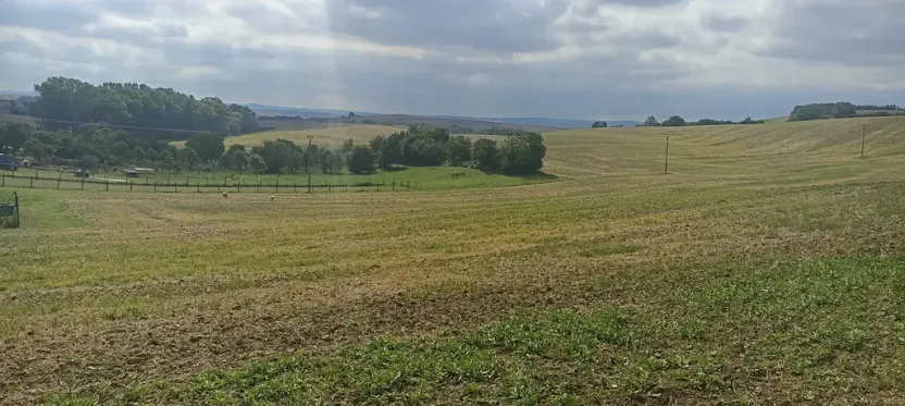 Prodej pozemku pro bydlení, Bohdalice-Pavlovice, 3936 m2