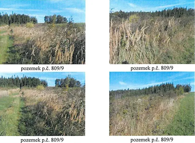 Prodej lesa, Česká Bělá, 7690 m2