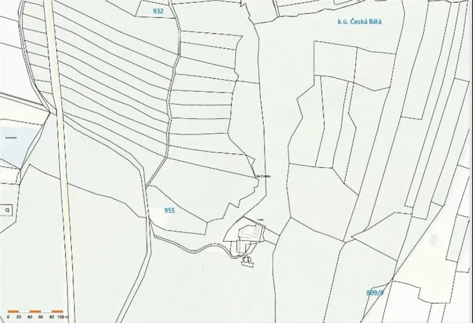 Prodej lesa, Česká Bělá, 7690 m2