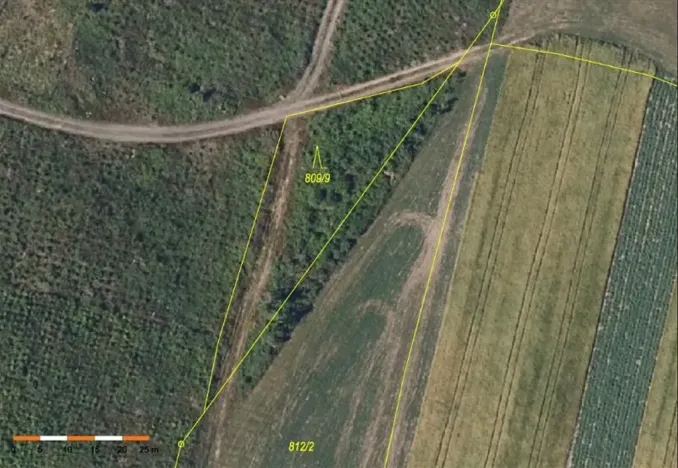 Prodej lesa, Česká Bělá, 7690 m2