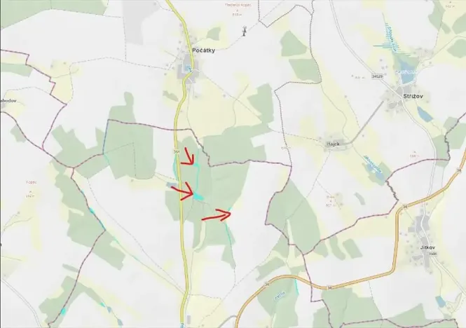 Prodej lesa, Česká Bělá, 7690 m2