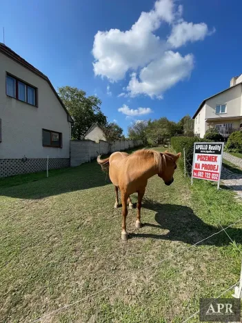 Prodej pozemku pro bydlení, Pašovice, 1279 m2
