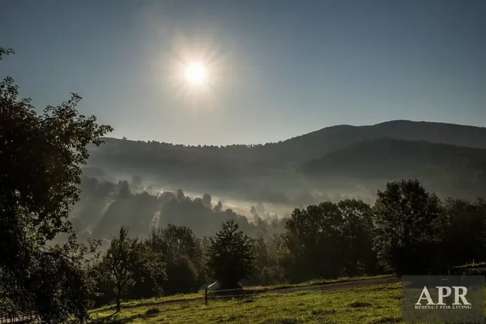 Prodej pozemku pro bydlení, Žítková, 6433 m2