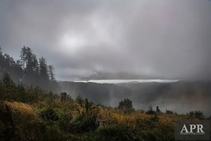 Prodej pozemku pro bydlení, Žítková, 6433 m2