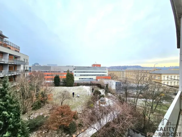 Pronájem bytu 1+1, Brno, Pekařská, 35 m2