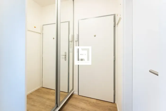 Pronájem bytu 2+kk, Ostrava, Hasičská, 43 m2