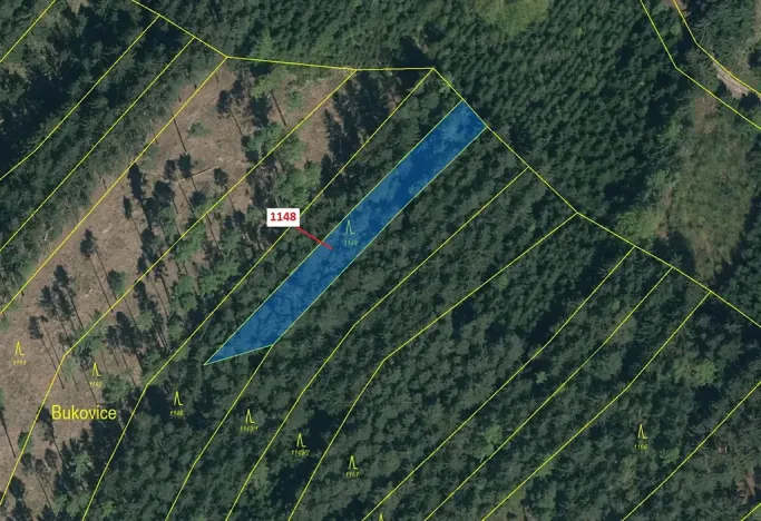 Dražba lesa, Vilice, 1105 m2