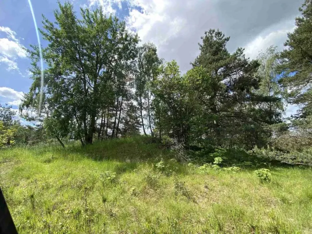 Prodej pozemku, Slavonice - Stálkov, 1831 m2