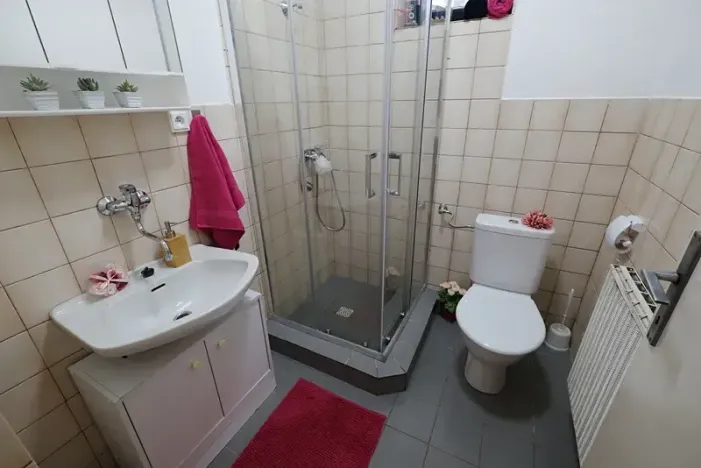 Pronájem rodinného domu, Uherský Brod, 110 m2