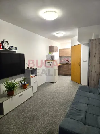 Prodej bytu 1+kk, České Budějovice, Fr. Ondříčka, 36 m2